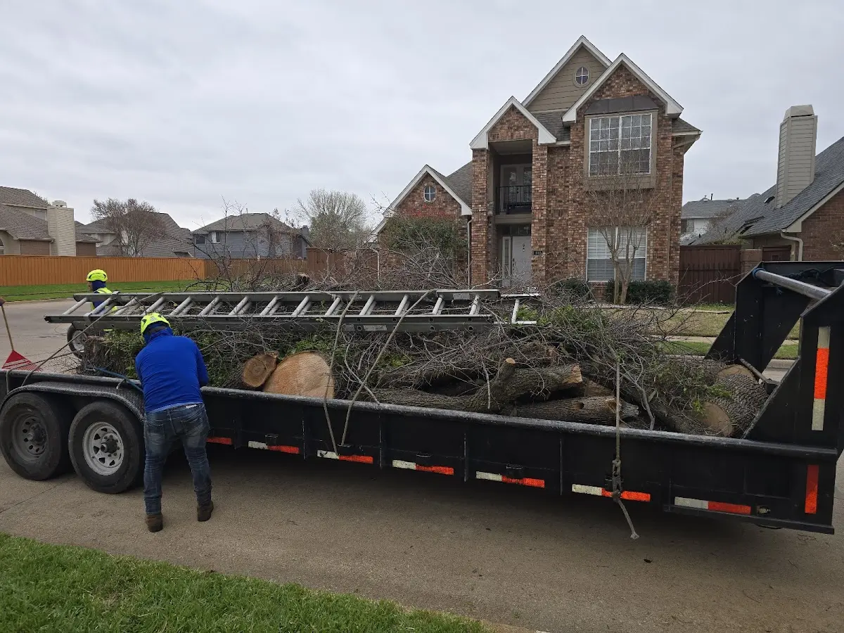 Expert Lot Clearing with proper safety equipment in Bellefontaine